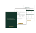 AUS Law Firm Targeting (Briefing)